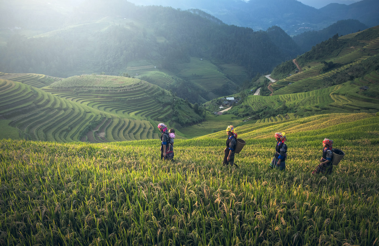 What would it take for public servants to deliver on their goals?